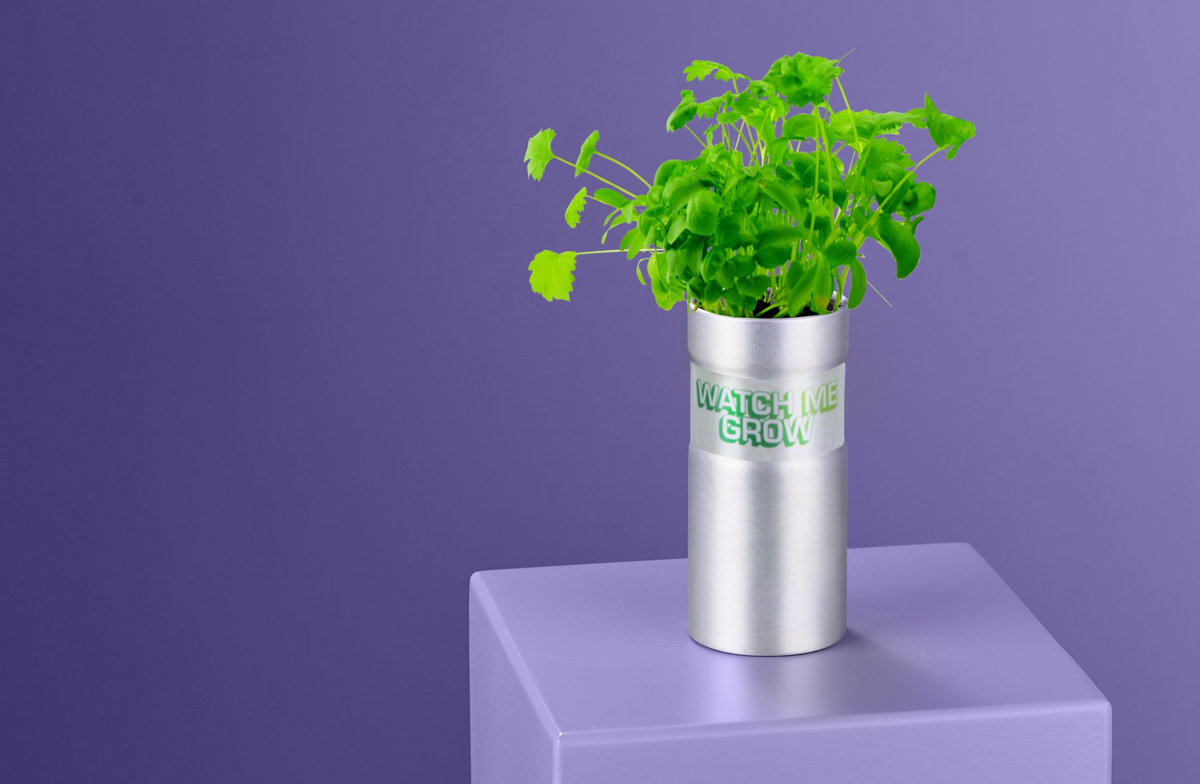 Sustainable plant pot on plinth